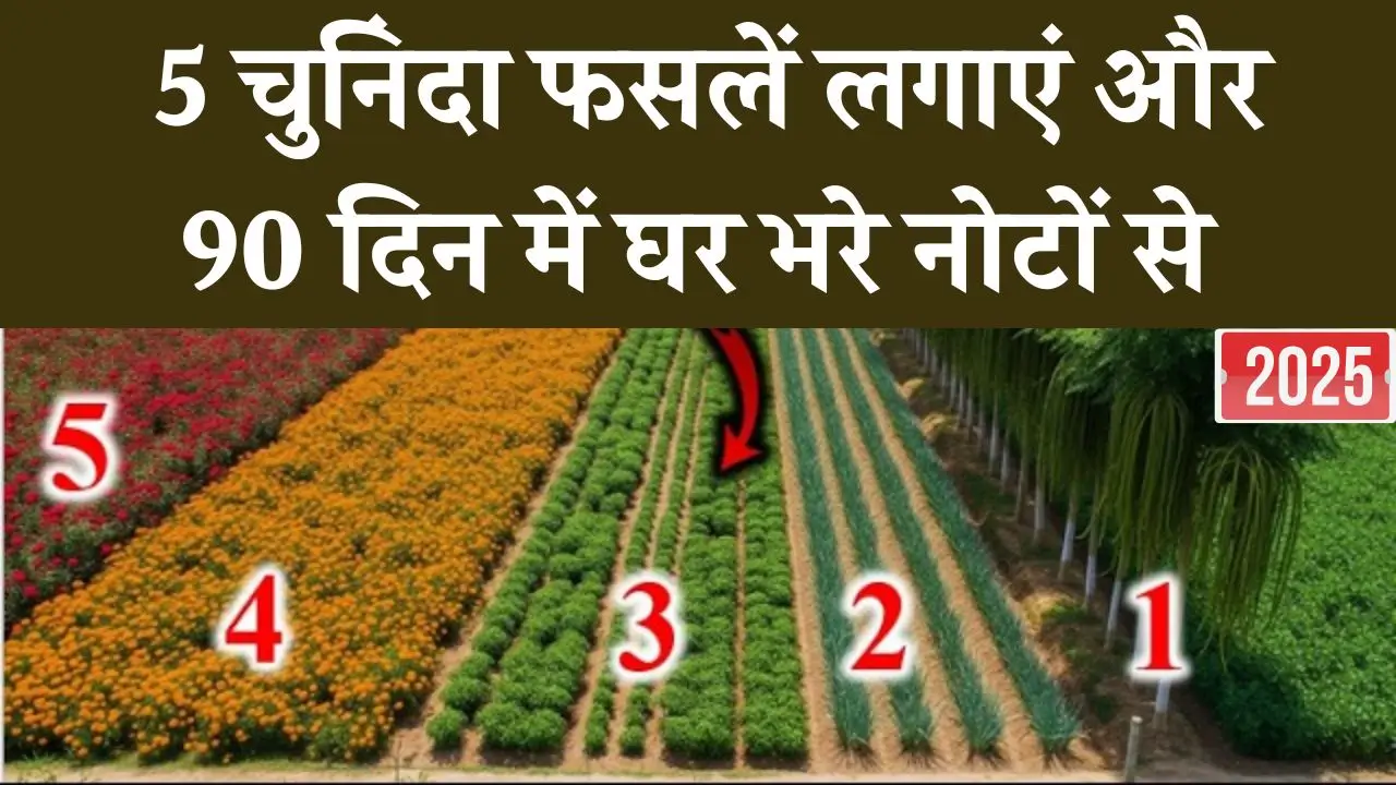 Agriculture News